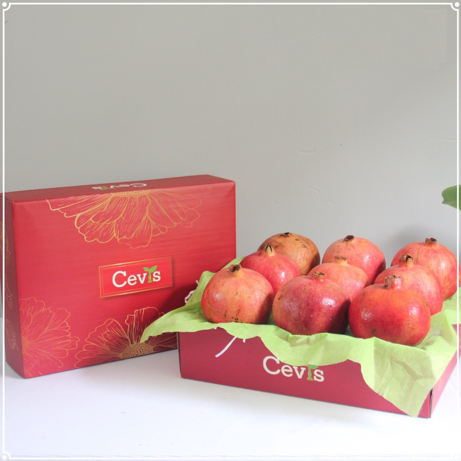 Cevis, địa chỉ giao hàng trái cây đáng tin cậy cho gia đình bạn
