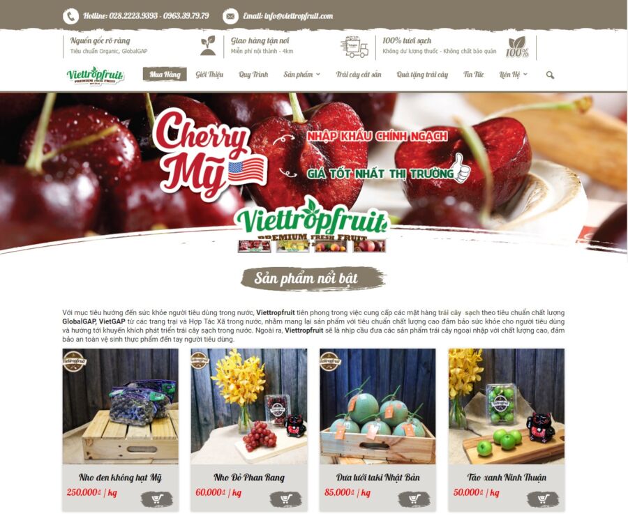 Viettropfruit alf một trong 10 trang web bán hàng trực tuyến chuyên về trái cây được đánh giá tốt nhất tại Hồ Chí Minh